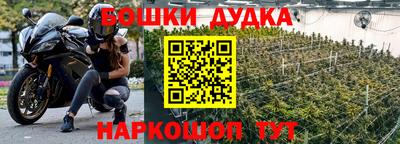 ГАЛЛЮЦИНОГЕННЫЕ ГРИБЫ Камышлов