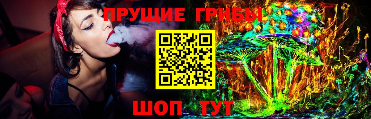 Майский  Псилоцибиновые грибы Psilocybe  Вход с VPN  Псилоцибиновые грибы мицелий 